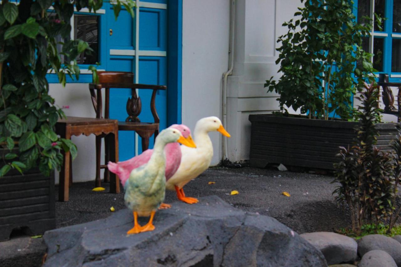 Hotel Merdeka Kediri Kediri  Esterno foto